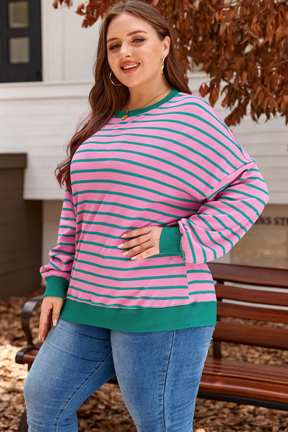 Pink Stripe Waffle Knit Crew Neck Plus Size Sweatshirt. PS Collection