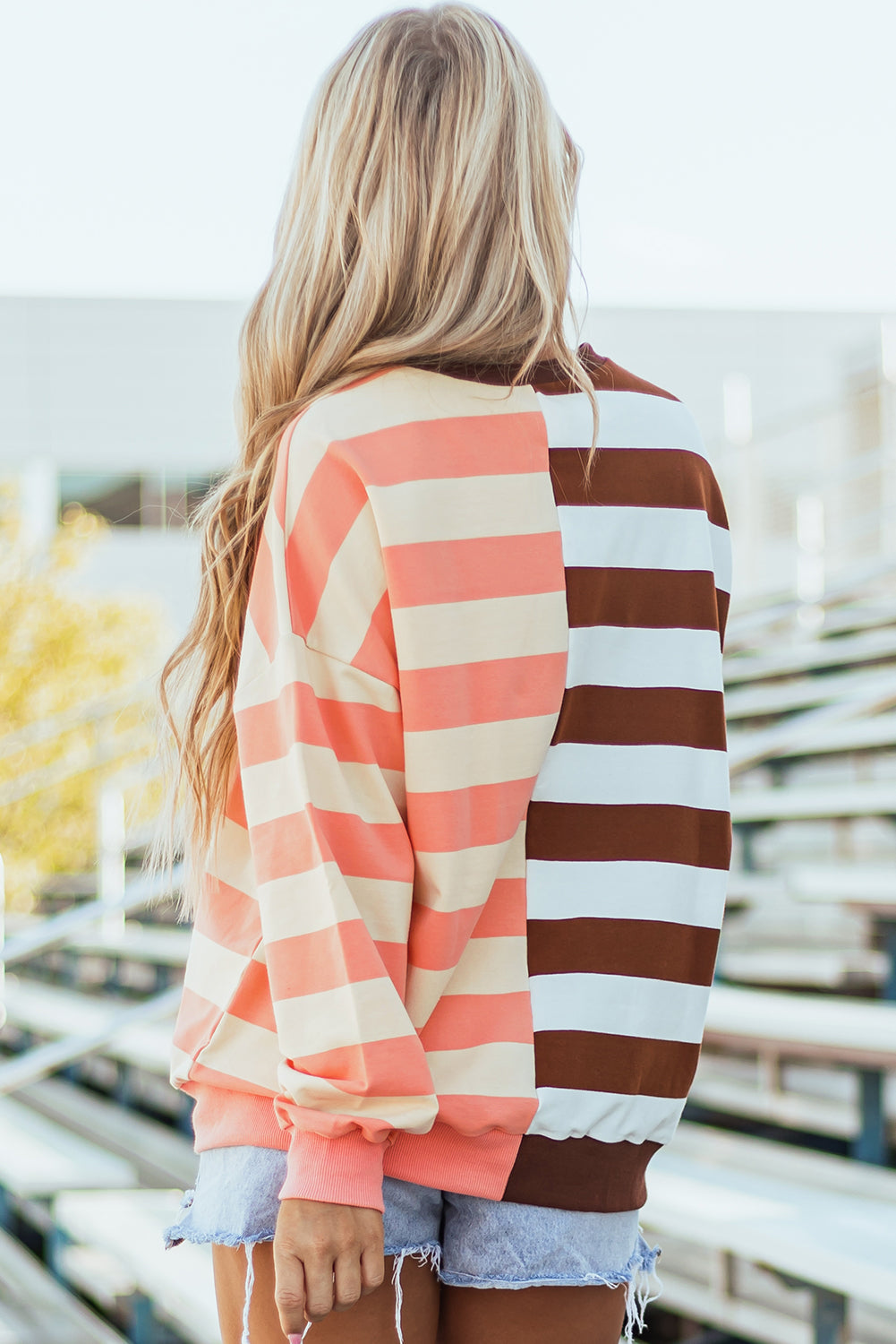 Brown Stripe Pullover Sweatshirt. GCollection